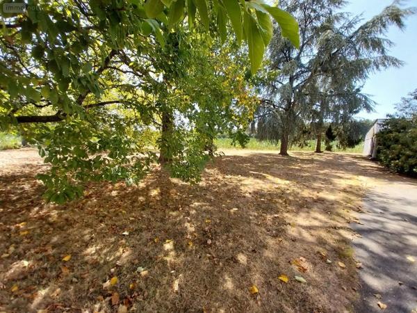 Achat - Maison | Maison individuelle Port-Brillet 53410 7 pièces 230 m 2 18000 m 2