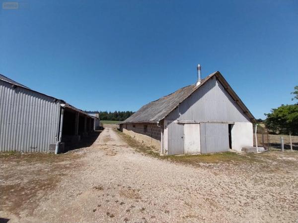 Achat - Maison | Maison individuelle Port-Brillet 53410 7 pièces 230 m 2 18000 m 2