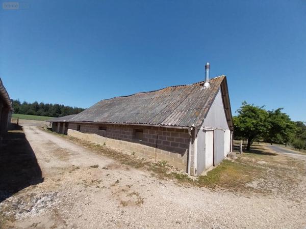 Achat - Maison | Maison individuelle Port-Brillet 53410 7 pièces 230 m 2 18000 m 2