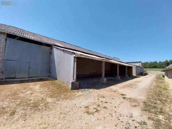 Achat - Maison | Maison individuelle Port-Brillet 53410 7 pièces 230 m 2 18000 m 2