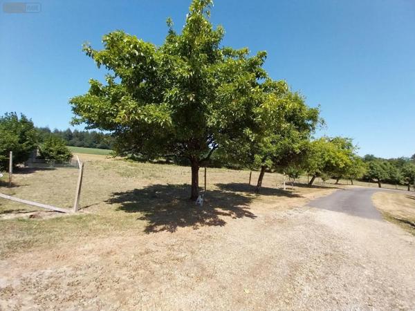 Achat - Maison | Maison individuelle Port-Brillet 53410 7 pièces 230 m 2 18000 m 2