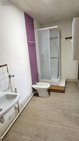 Local Professionnel et commercial à vendre à Vitry-le-François dans la Marne (51300), ref : 51081/968