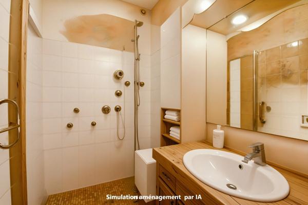 Maison Bourgeoise à vendre 6 pièces CHATEAUMEILLANT (18)