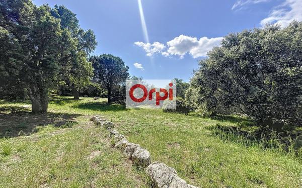 Maison à vendre    4 pièces •  Porto-Vecchio