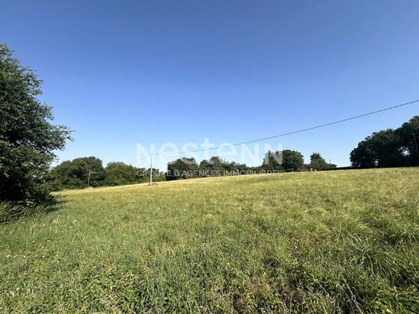 LONGÈRE BAUDRES 5 CHAMBRES AVEC DÉPENDANCES - PISCINE - TERRAIN - BOIS ET VUE SUR LES CHAMPS (INDRE 36)