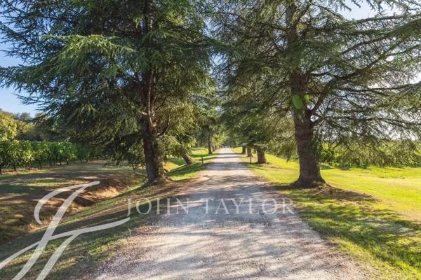 Entre deux Mers - Domaine de charme 30ha - John Taylor