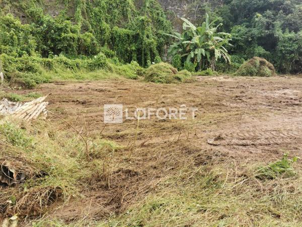 Achat terrain Les Abymes - 4 pièce(s) - 1566 m² - 179 000 €