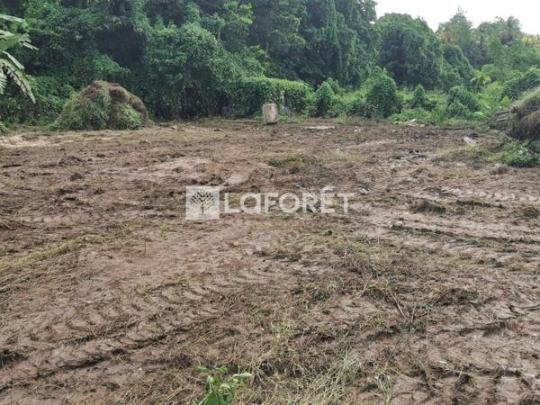 Achat terrain Les Abymes - 4 pièce(s) - 1566 m² - 179 000 €