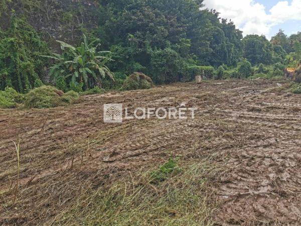 Achat terrain Les Abymes - 4 pièce(s) - 1566 m² - 179 000 €