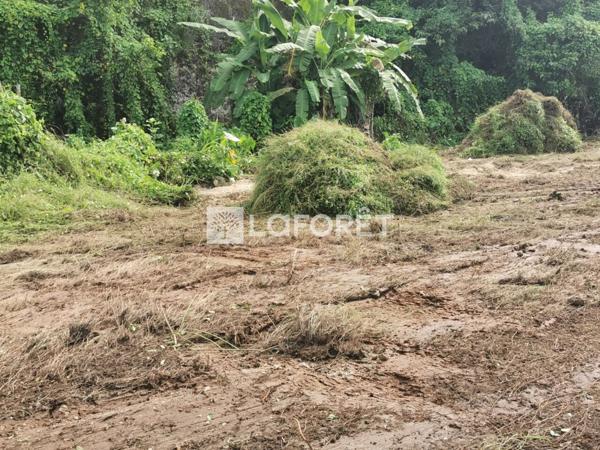 Achat terrain Les Abymes - 4 pièce(s) - 1566 m² - 179 000 €