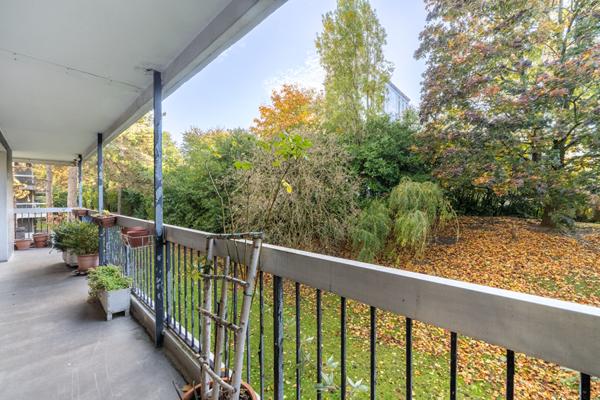 APPARTEMENT TROIS CHAMBRES GRANDE TERRASSE !