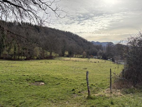 Vente / Terrain constructible