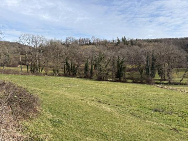 Vente / Terrain constructible