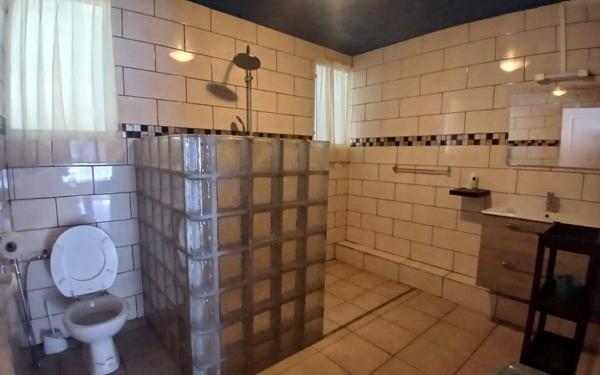 Maison à vendre    7 pièces •  Le Tampon