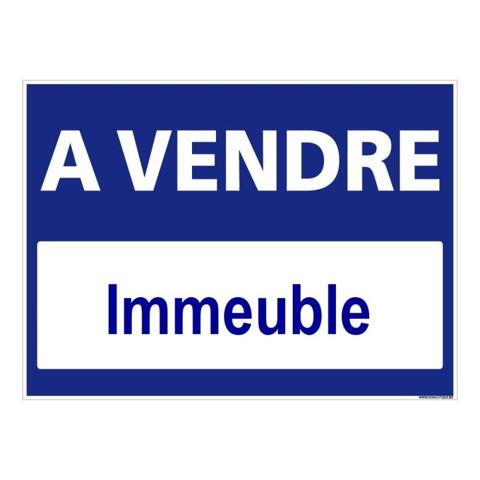Vente / Immeuble