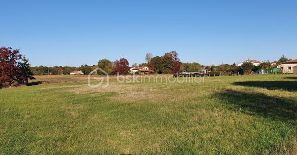 Terrain de 8 141 m²