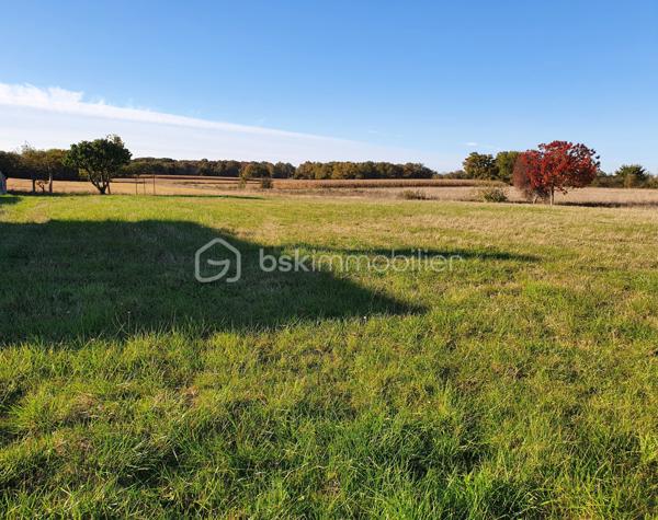 Terrain de 8 141 m²