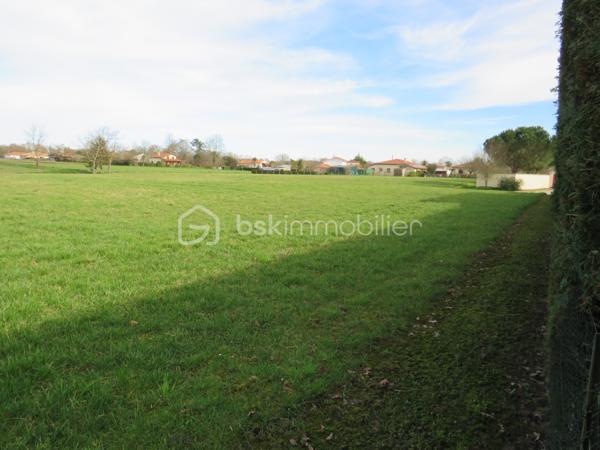 Terrain de 8 141 m²