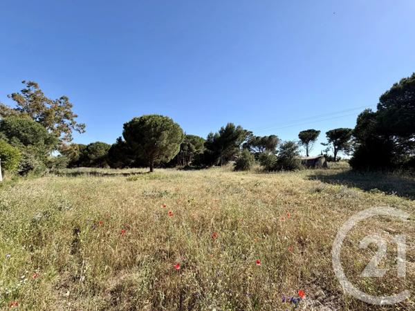 Terrain à vendre  346 m 2   FRONTIGNAN  - 34