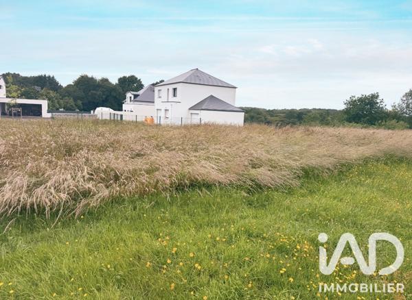 Terrain à vendre 1 205 m² Riantec