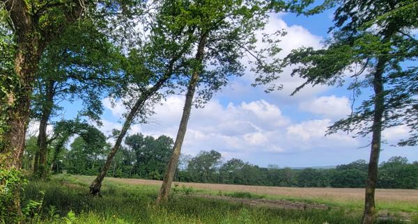 Dax (40100) Terrain au golf Grand DAX