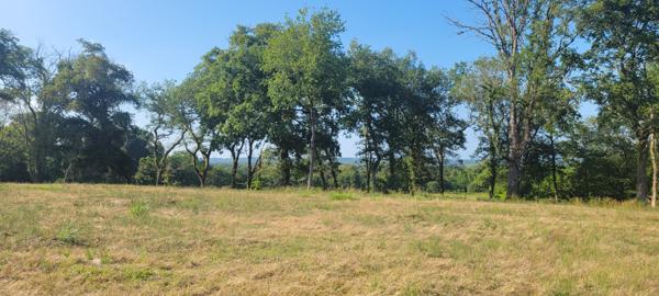 Dax (40100) Terrain au golf Grand DAX