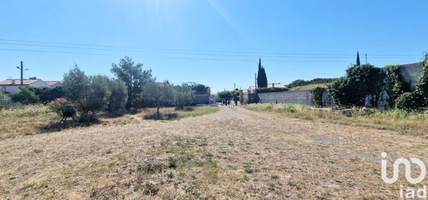 Terrain à vendre 2 560 m² Peyriac-Minervois