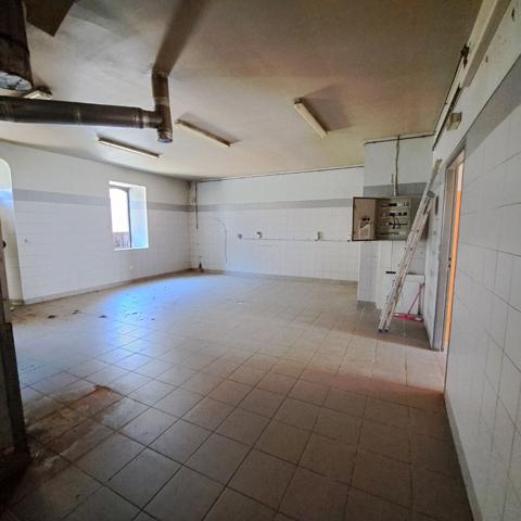 A VENDRE IMMEUBLE 2 APPARTEMENTS + 2 LOCAUX COMMERCIAUX