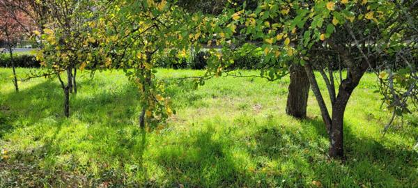 BEAU TERRAIN A BATIR