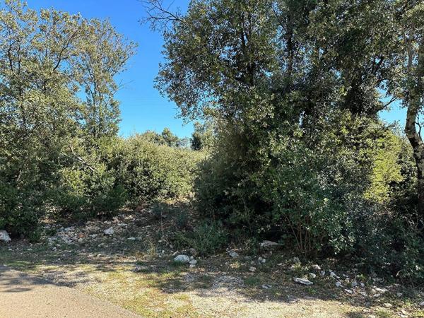 Terrain à vendre    Orgnac-l'Aven