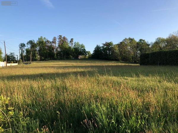 Achat - Terrain à bâtir | Terrain à bâtir Aubazines 19190 1683 m 2