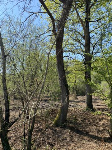 Challans (85300) CHALLANS - TERRAIN CONSTRUCTIBLE DE 2 600 M²