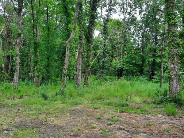 Achat - Terrain à bâtir Soullans 85300 890 m 2