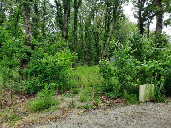 Achat - Terrain à bâtir Soullans 85300 890 m 2