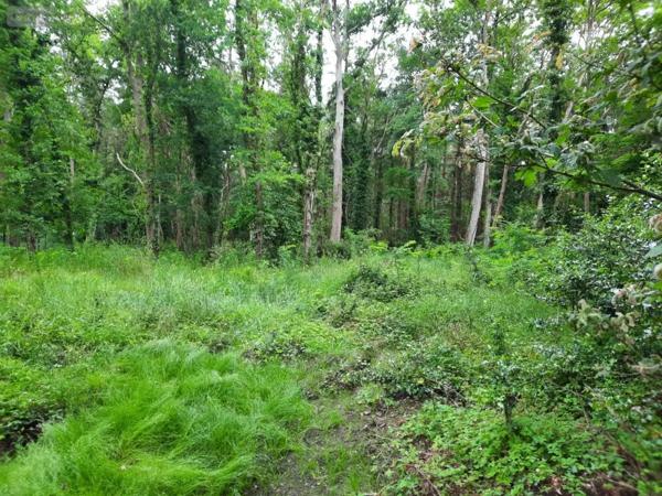 Achat - Terrain à bâtir Soullans 85300 890 m 2