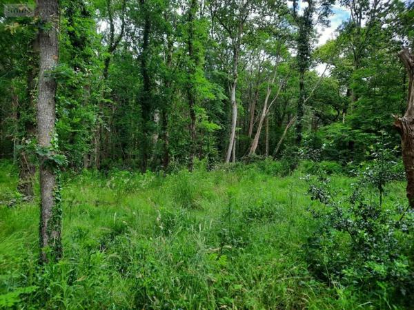 Achat - Terrain à bâtir Soullans 85300 890 m 2