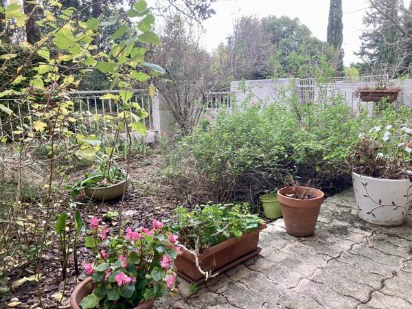 Appartement 2 pièces - 46 m² Exclusivité efficity