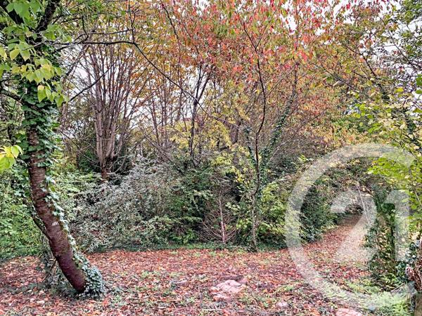 Maison à vendre  4 pièces - 69,02 m2 LA CHAPELLE ST MESMIN - 45