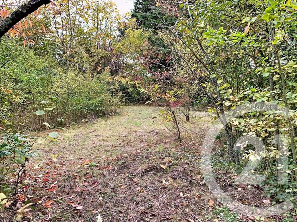 Maison à vendre  4 pièces - 69,02 m2 LA CHAPELLE ST MESMIN - 45