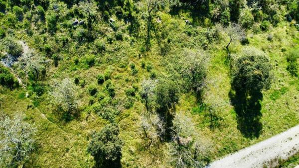 Terrain prêt à bâtir proche Saint-Tropez