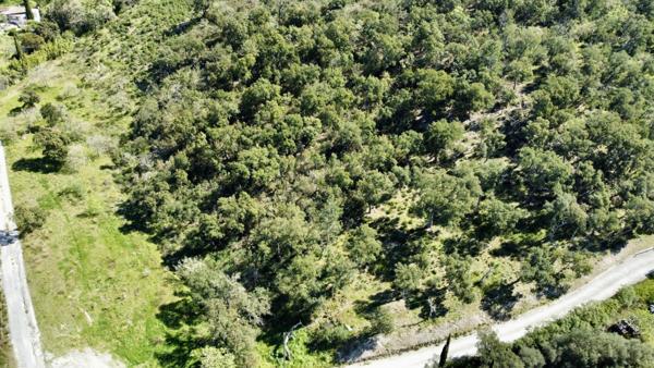 Terrain prêt à bâtir proche Saint-Tropez