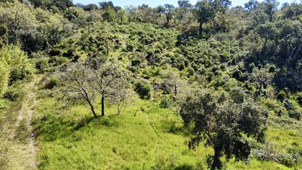 Terrain prêt à bâtir proche Saint-Tropez
