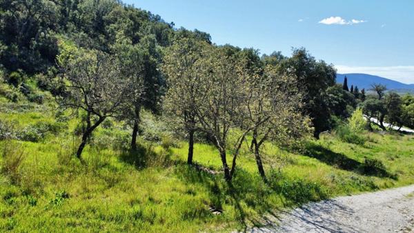 Terrain prêt à bâtir proche Saint-Tropez