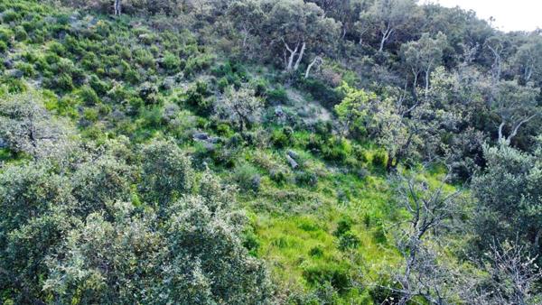 Terrain prêt à bâtir proche Saint-Tropez