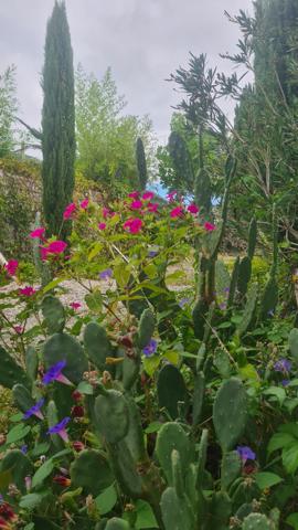 Le Bosc (34700) Ensemble maison + restaurant