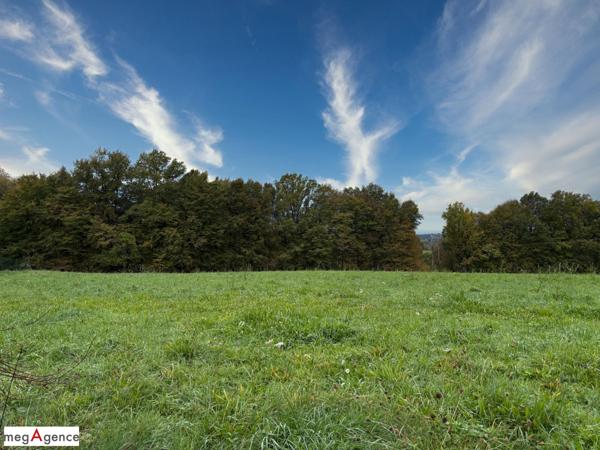 Terrain à SAINTE-FEREOLE, 19270 - 1637m²