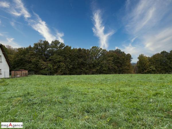 Terrain à SAINTE-FEREOLE, 19270 - 1637m²