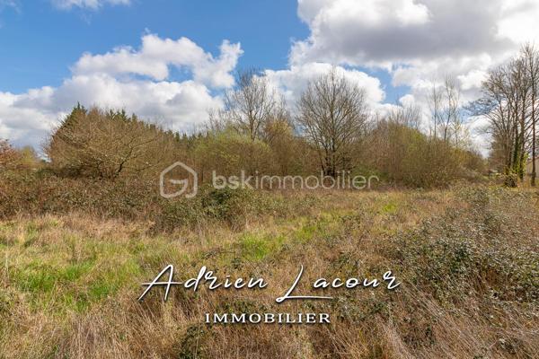 PRUNIERS-EN-SOLOGNE (41200) - TERRAIN DE PLUS DE 2 HECTARES EN ZONE U (SECTEUR URBANISÉ À VOCATION MIXTE) ET EN ZONE AU (SECTEUR À URBANISER À VOCATION PRINCIPALEMENT RÉSIDENTIELLE).
Façade d'environ 69m sur 265m.
A découvrir rapidement!

Pour visiter et vous accompagner dans votre projet n'hésitez pas à me contacter, ADRIEN LACOUR.
- ESTIMATION GRATUITE DE VOTRE BIEN -
