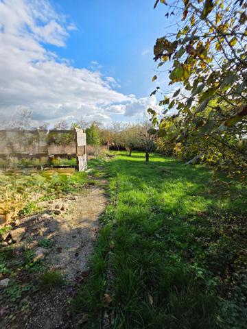 Beau pavillon rénové de 186 m² sur grand terrain – Bouligny (35 km de la frontière luxembourgeoise)