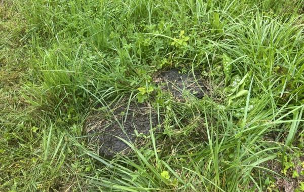 Vente Terrain Puttelange-aux-lacs   